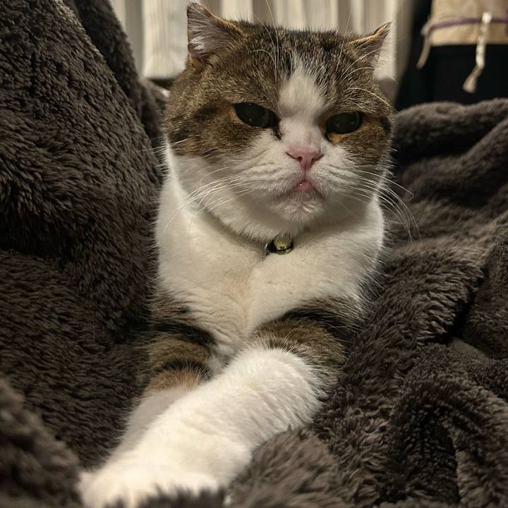 3221f8ad de7d 43e8 b526 777ad136d55d 1760915028914