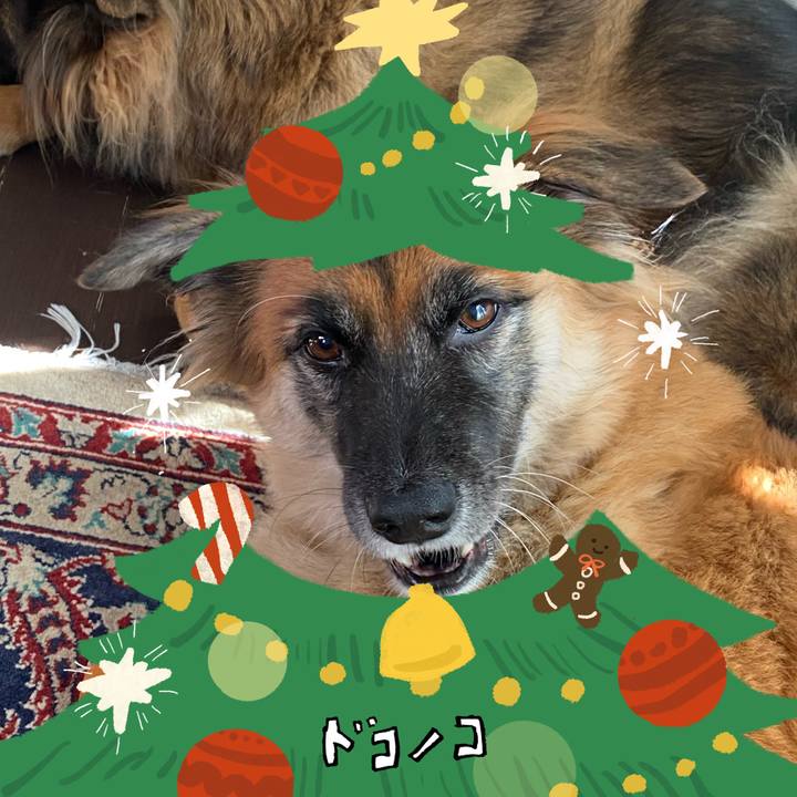 32223806 24d3 483f ac7f 1bb0d812e07b 1762350268436