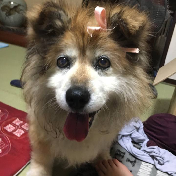 322255f1 1c55 4955 a8f5 c79ffada5c10 1628662519445