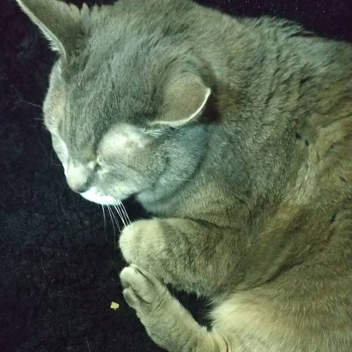 3222615c be1b 464b a995 60fc2643145e 1647202164775