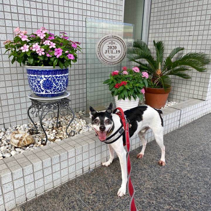 32228236 f743 4ef4 9d99 db265eb6175e 1595117800963