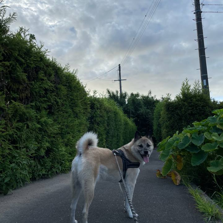 3222862f a58c 47ec b9be 422589ba58d8 1724765538267