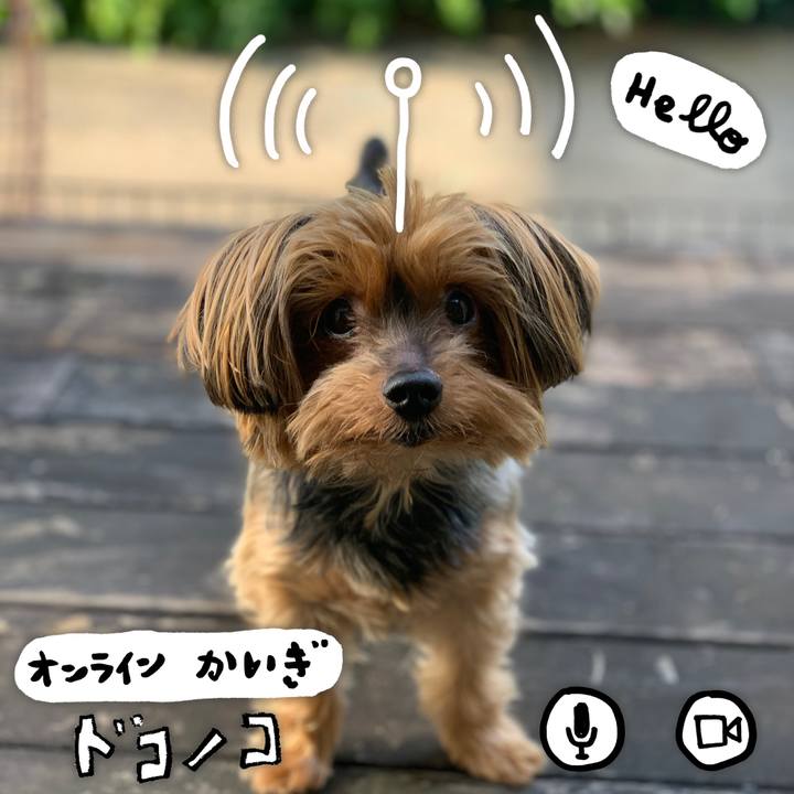 32228daa 6fc2 46b6 8d7a 67ecd7f61c93 1590739759836