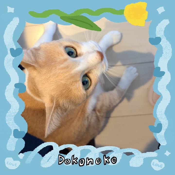 3222c02c 73ed 4ead 9549 b95306b5950e 1772262321082