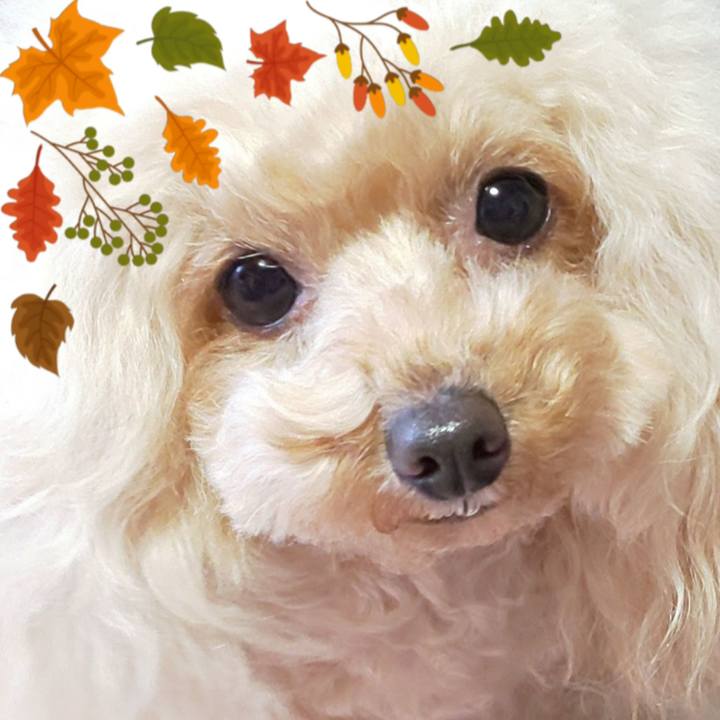 3222c28b 7f92 4e5b 8f3d e446731e1284 1576298522953