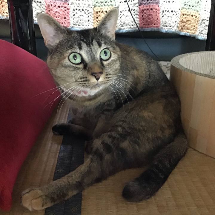 3222d2c6 dda0 4c73 8043 6c860f47f7b2 1722416468225