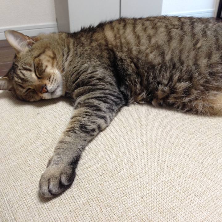 3222e6e7 bea3 4aa1 bece 2878f9182000 1593310395374