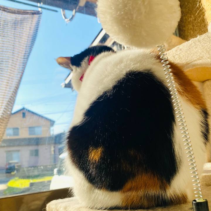 3223512c 6ccc 41af 962c 9b0bd90de96c 1763877425258