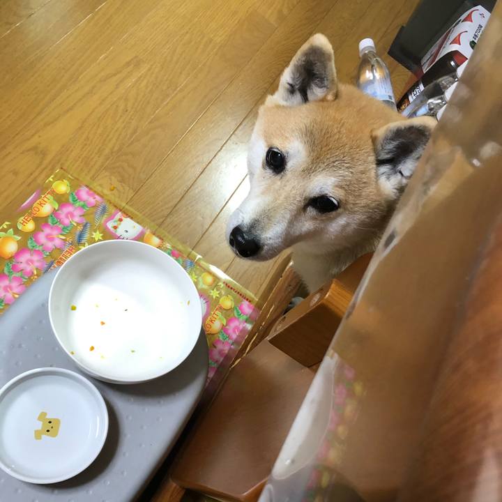 3223608a 6a7f 4e67 b97e bd5e47f30cf4 1577451329945