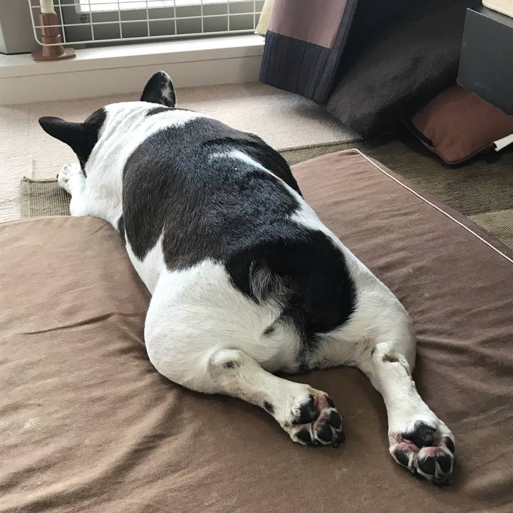 3223623c 5ed0 47ec 8f09 c4a023257291 1526597499182