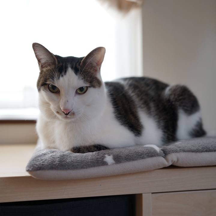 3223685f a07b 4b5b 92e4 1193c695df74 1545351440644