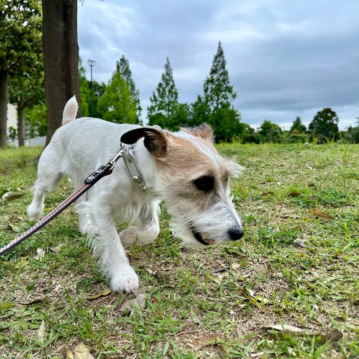 322395aa 327b 4faf 96af 859306184eaa 1715511974651