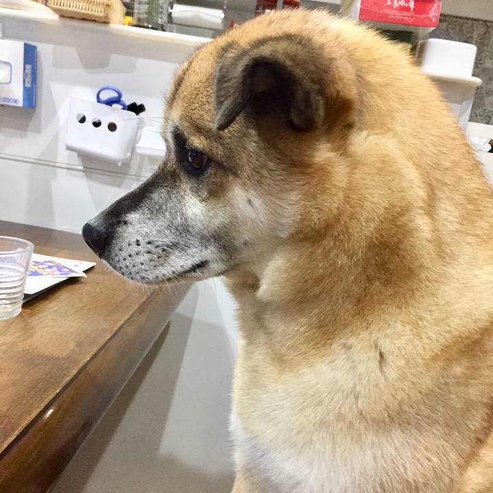 3223a09f 6d08 4858 9898 4ffe62bd7a27 1563687417574