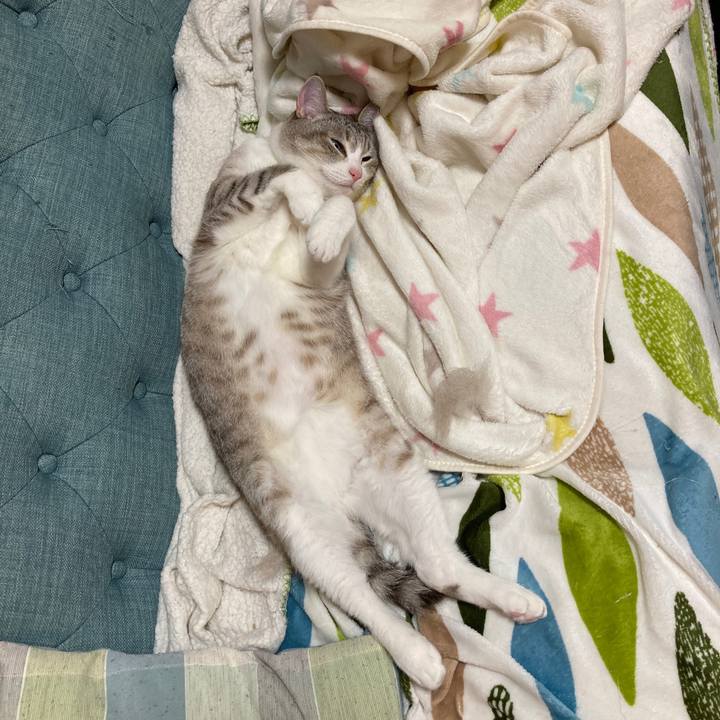 3223acd3 8f54 4610 9007 790ffa1925d3 1592749876925