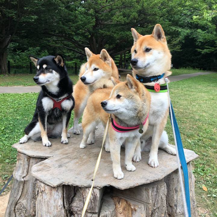 3223c43e f0d5 4304 9b44 16a79fc6943e 1562905445495