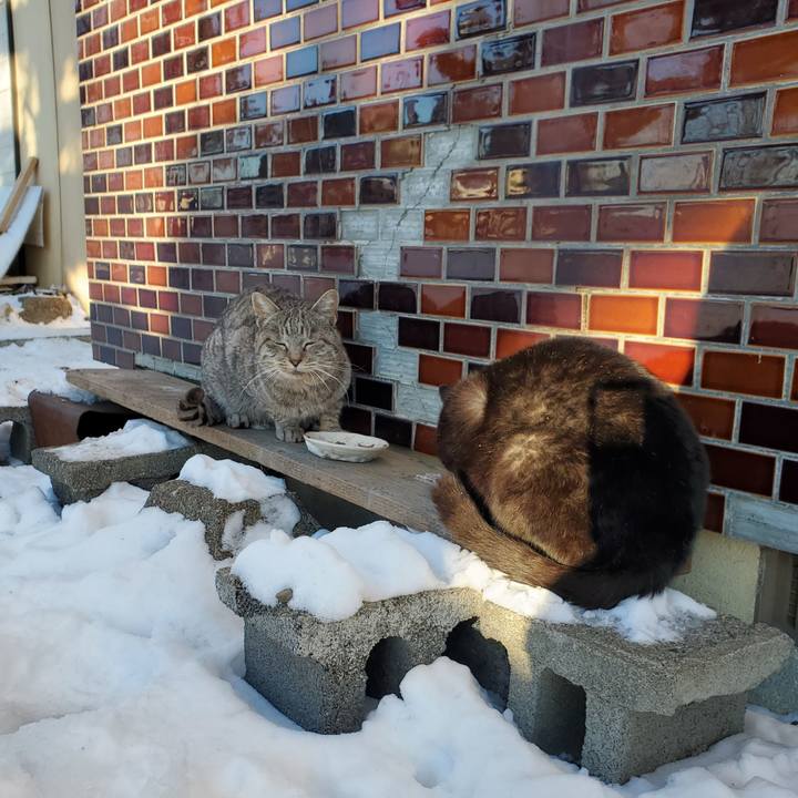 3223e469 e342 40cd a394 9c90bb792564 1703676376530