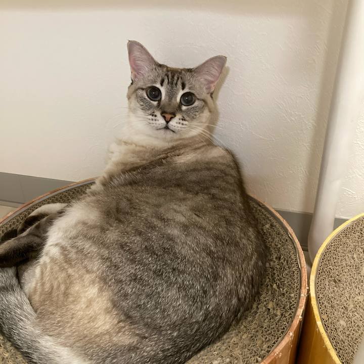 32240692 2dc8 45b7 88eb 0a58ecd17325 1702302382799