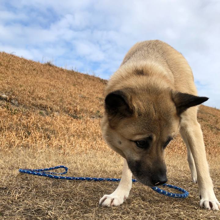 32242194 956d 40c9 9d62 8f5ba7f7afa9 1613289548773