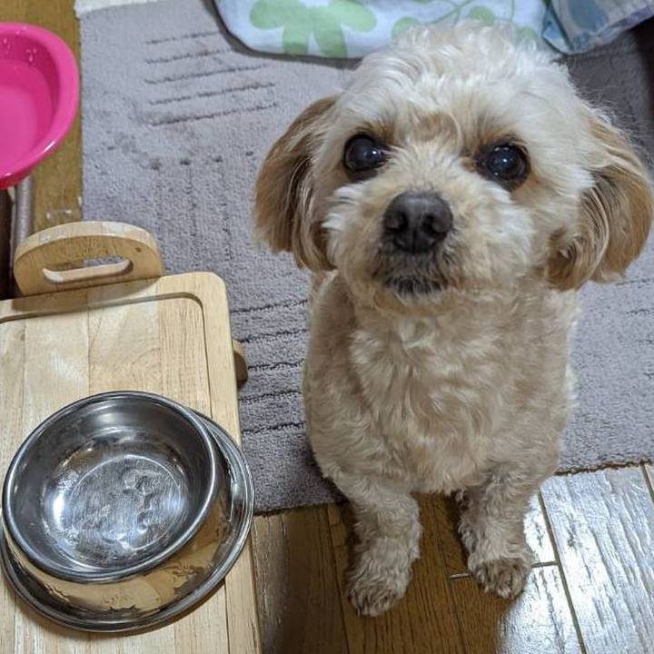 322426a8 694c 45c1 8e5e 39c73273607d 1644142849971