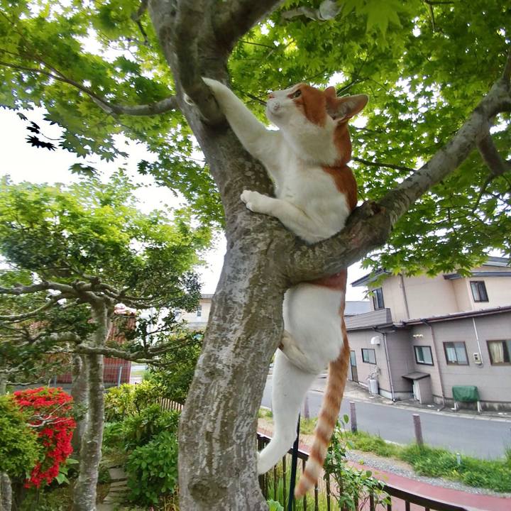 3224553a bc16 4dff 8851 324fdaf89224 1525597809593