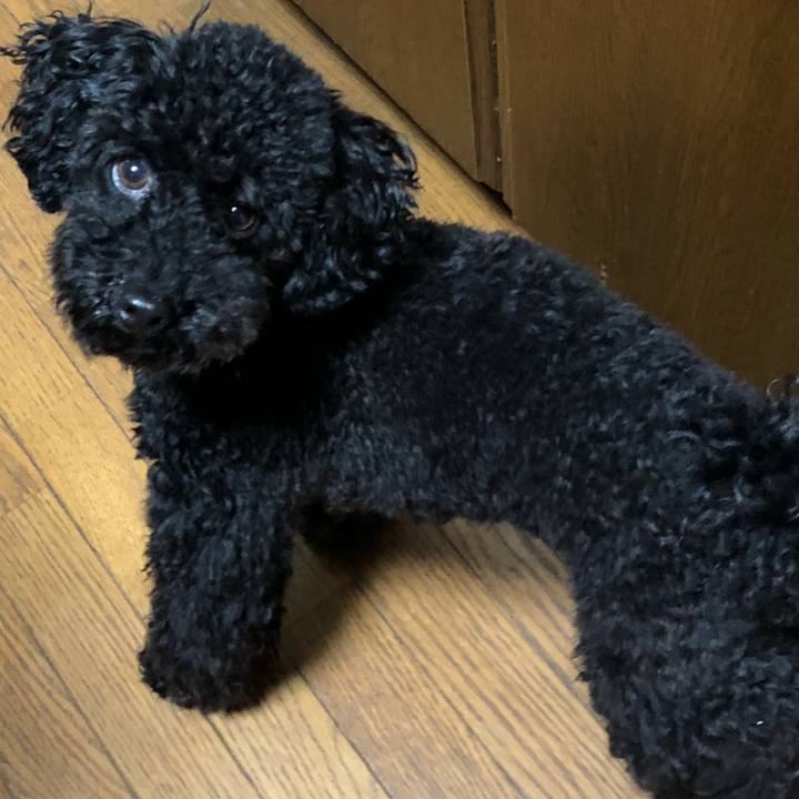 32246b14 99f1 48f3 a28c 169272b0c088 1527673239981