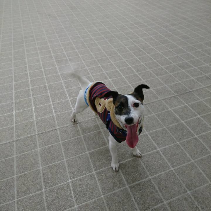 3224cbe0 0d9d 4bb5 a943 d1e9c34b3cfe 1515825294614