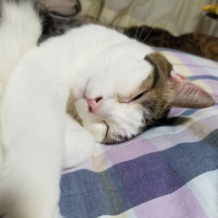 3224e706 134f 4943 8fcd fd2b28ee7237 1619181498487