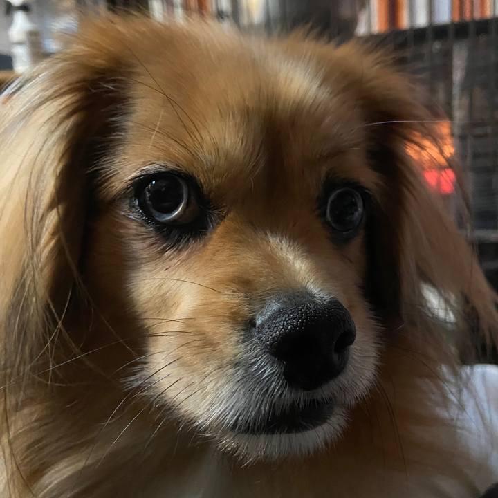 32250331 b550 408c a731 9dc4f72be5a3 1640210924550