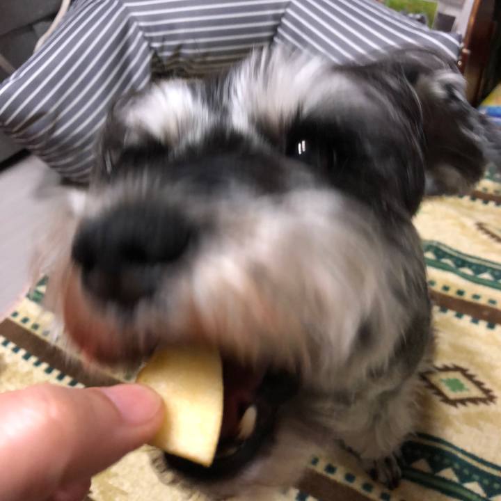 3225b12c 9579 4bc0 9c2f 82b513f08f6e 1647176190584