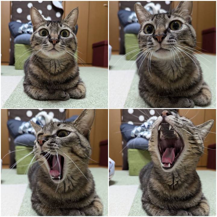 32262c2c 5ae6 471c bb6a 93bb02147ca7 1732172371269