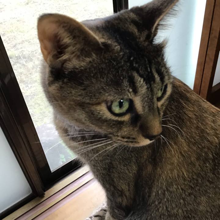 32265b35 3933 425c 9915 845c229fcc1d 1654207497635