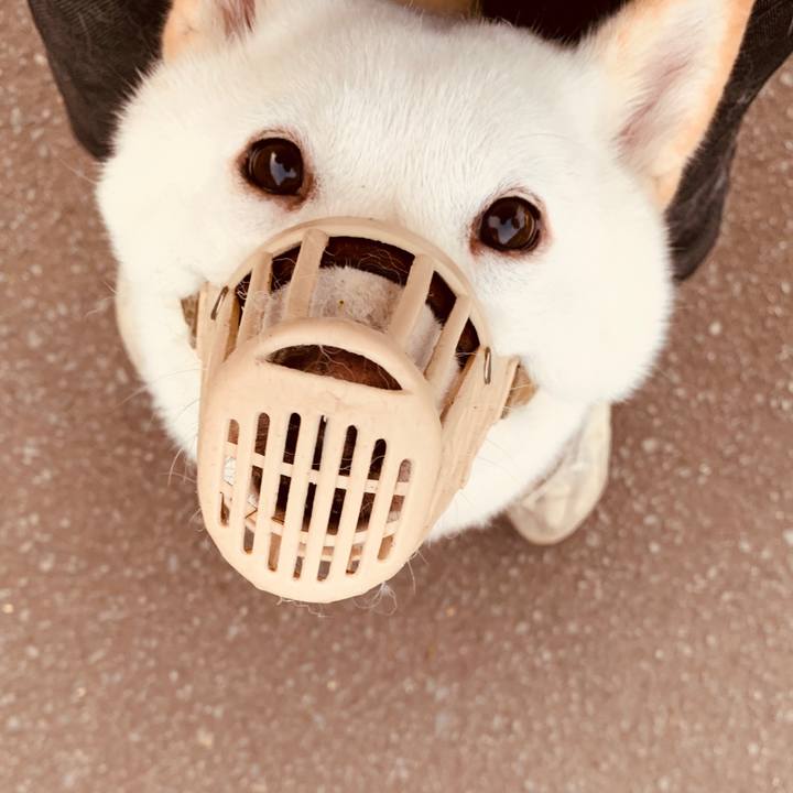 32268239 bc3e 4a38 a934 205f437bfe69 1601419442674