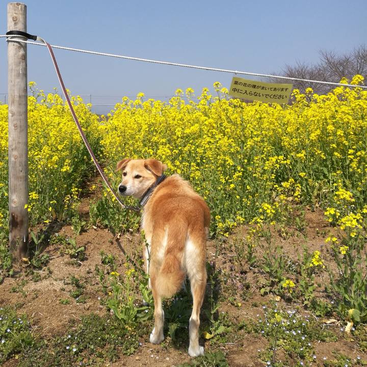 32268fc5 8ecf 4747 96aa 5130a37db71b 1520988444527