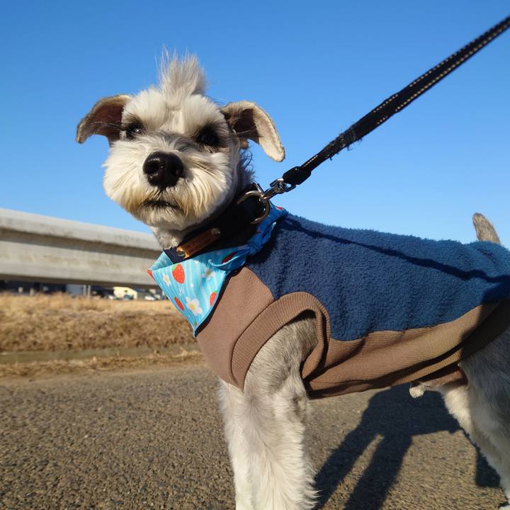 3226ae69 599d 4d8e 9d17 8719b3e71eb6 1771629744065