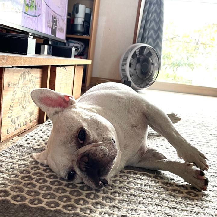 3226e98c f9a0 4aaf b36f 29999ebabbaf 1726351163286