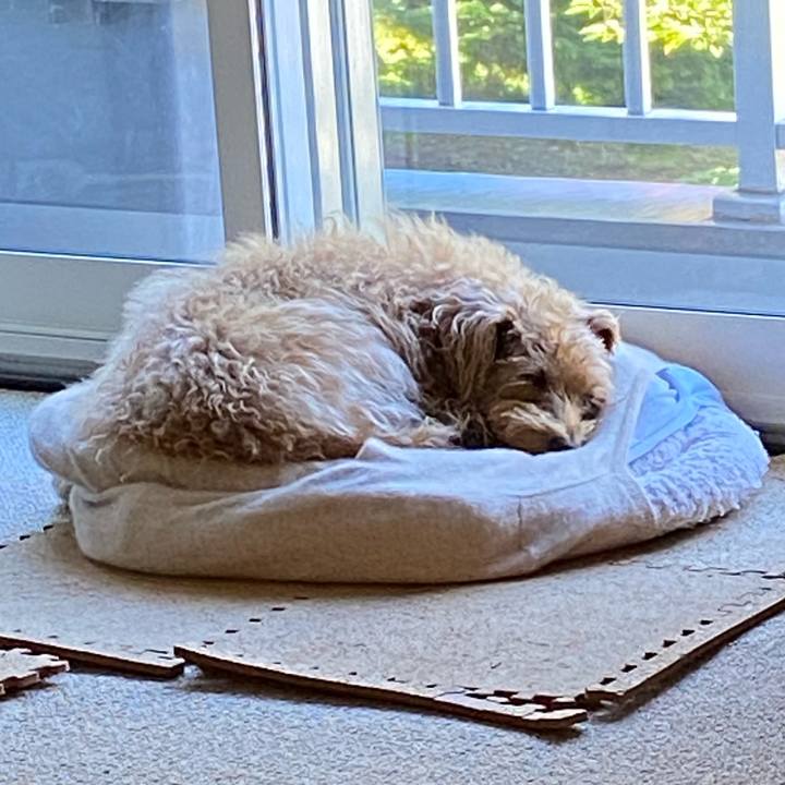 3226eb06 56ff 47c7 8954 8a6bafdd8b7f 1697583285125