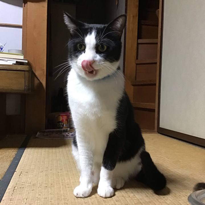 32277f18 6f18 41b0 a1bd 1d3dc80a4db4 1762417344551