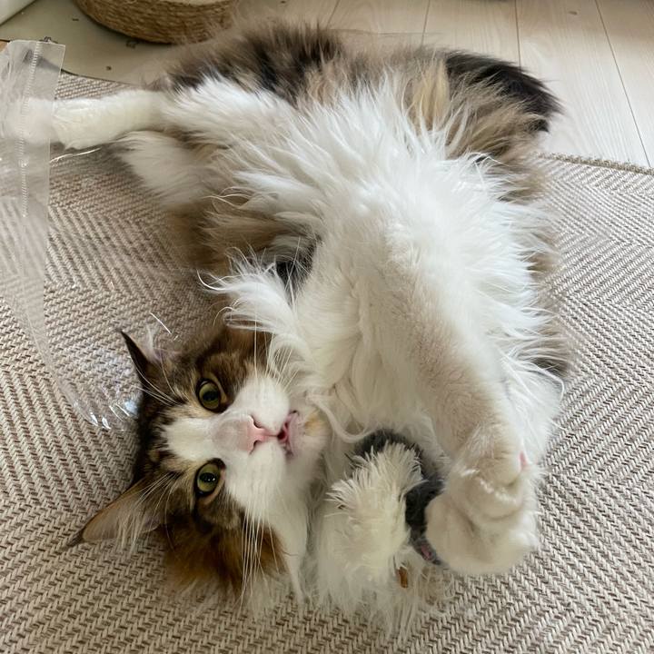 322793dd 6324 42f0 b888 5c77641205d1 1680922277349