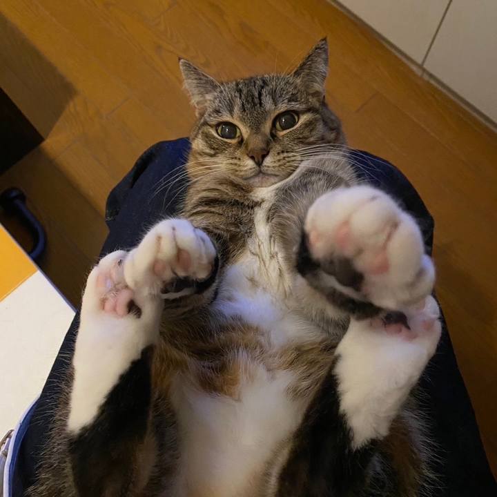 3227a65a d8ec 4c5e b7e3 eeb30e38bdf3 1713195399661