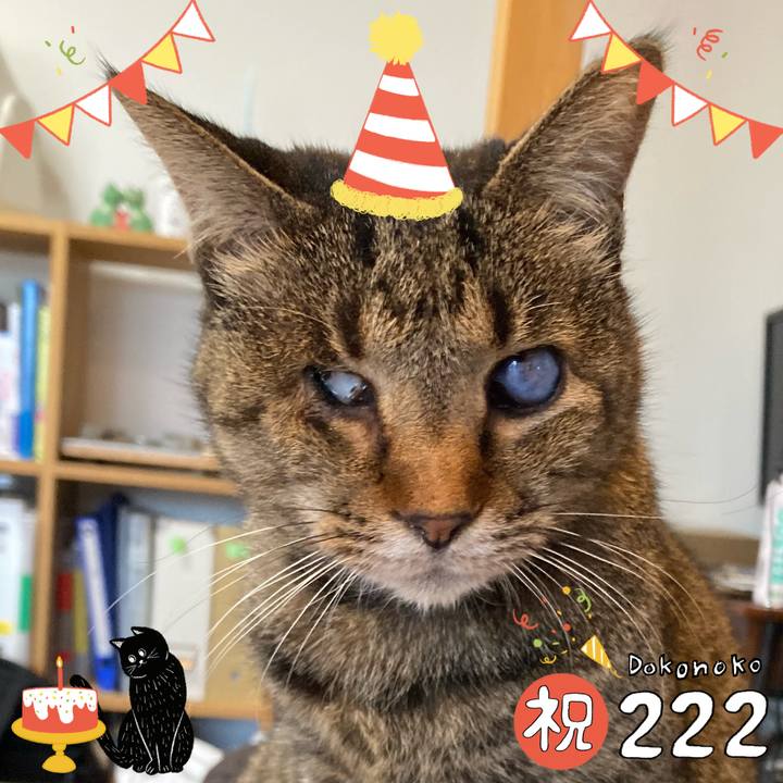 3227bd20 4bbd 4ddf afdf bb0aa6fa047f 1645517696664