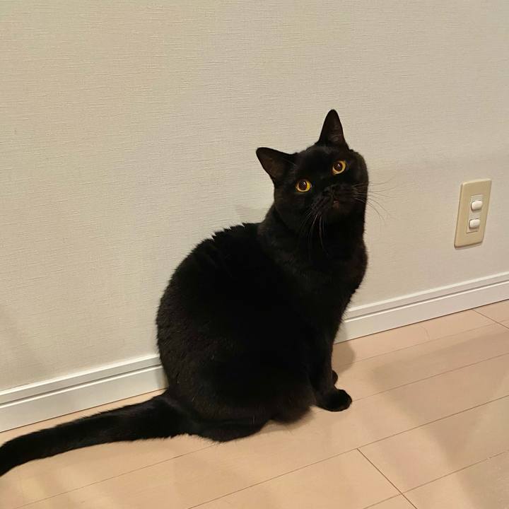 3227bf90 fb57 44d4 b2af 84a4ccb9fd84 1635338246854