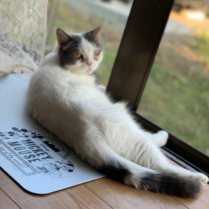 3227c04f 9151 4409 a536 8721b2e5ffcd 1753088744133