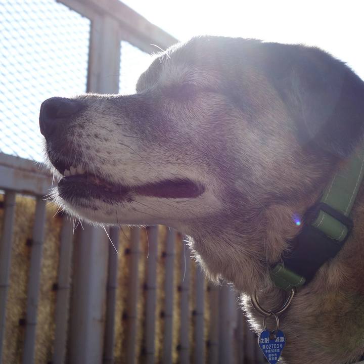 3227e1ae 62b2 403c b47b 1d3306166204 1659656795094