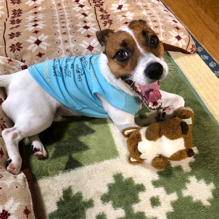 3227e466 4f37 4aa9 bf01 773b9b988651 1566431489487