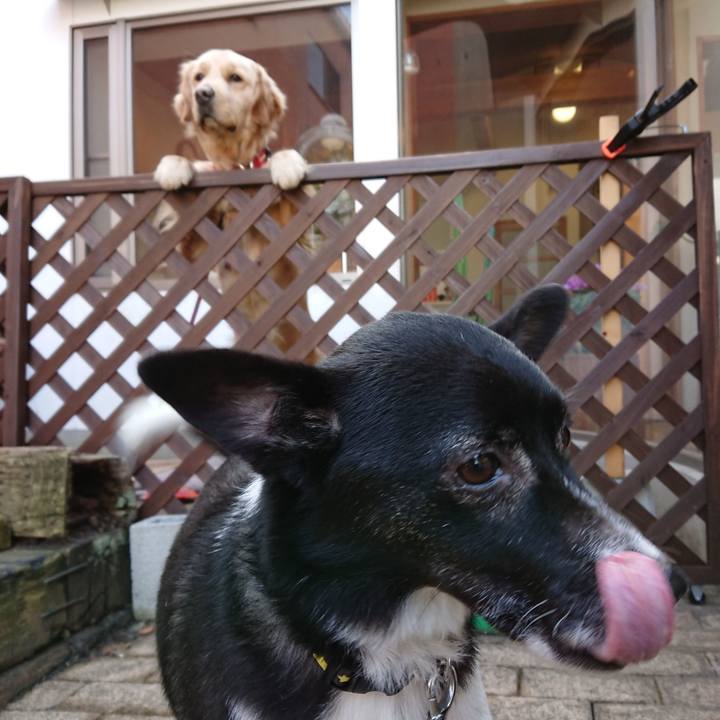 32280aac 5c50 4e2a bbbe 1369a759b221 1579498514923