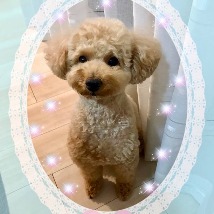 32280edb 79d3 457b 8c45 ee876c4bbbf8 1590930208201