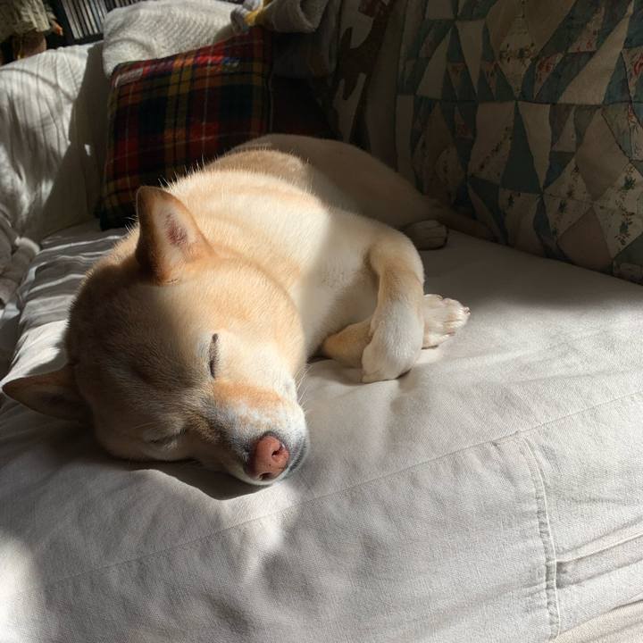 322848c5 4406 46a6 b5f4 7ad64ba4fd5f 1642475506201