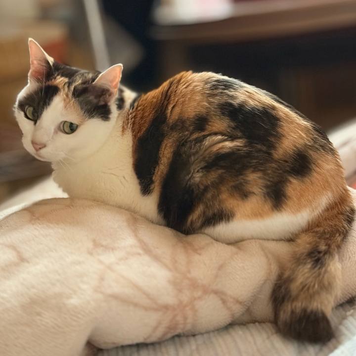 32289edd 7c99 4de1 87f9 df8ec6d190f9 1748574175265