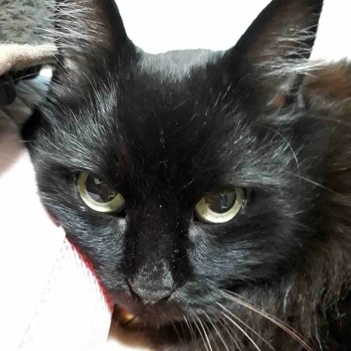 3228aa3b a79f 4c91 a90f 90a4adb488d1 1542893426211