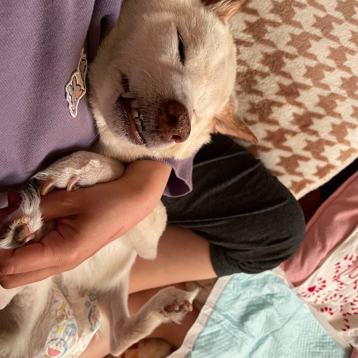 3228c4ad 26a1 4180 afef 95cc02be8d69 1678076725108